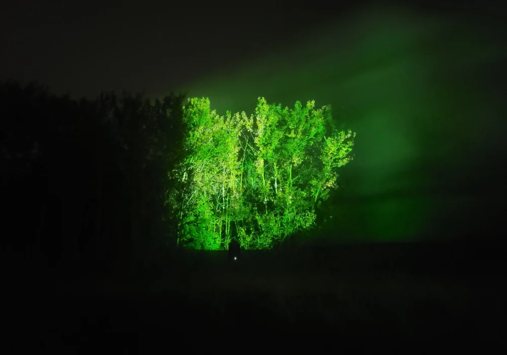 Les arbres nous parlent